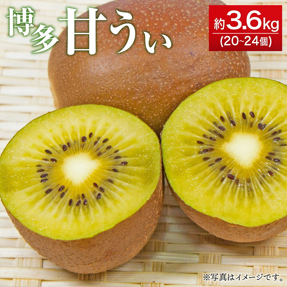 【ふるさと納税】博多甘うぃ 約3.6kg 20〜24玉 キウイ フルーツ 果物 福岡ブランド 福岡県産 九州産 国産 送料無料【2025年10月下旬～11月下旬に順次発送予定】