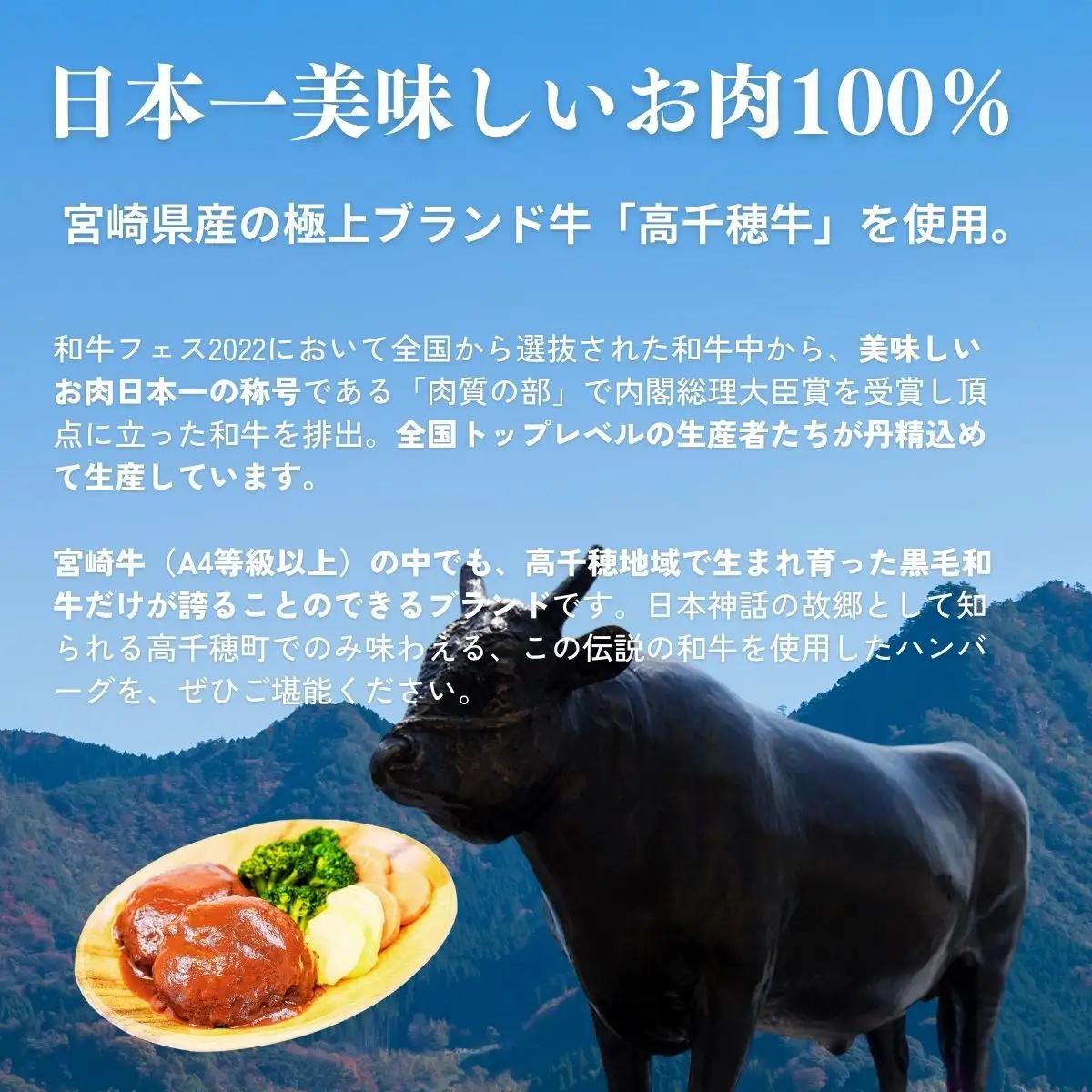 【レンジでプロ味！】黒毛和牛100％プレミアムハンバーグ温野菜プレート ハンバーグ120g＆温野菜80g×4食セット ハンバーグ 黒毛和牛 高千穂牛 牛 牛肉 ブランド牛  国産 温野菜 冷凍 レンジ