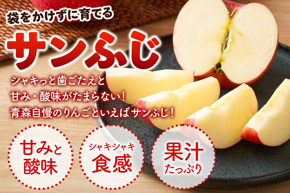 【27年2月発送】りんご 葉とらずサンふじ 【訳あり】 約10kg 平均糖度13度以上 青森県産 [りんご 林檎 アップル 産地直送 葉とらず サンふじ 訳あり 自宅用 家庭用 果物 フルーツ くだもの おいしい 美味 甘い 青森県 弘前市 日本農業]
