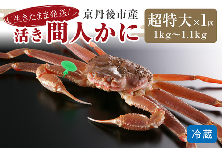 カニ 松葉ガニ／かに卸し問屋がお届け・浜競り厳選！幻の活間人ガニ 1ｋｇ～1.1ｋｇ 超特大サイズ（1月～3月発送）／北畿水産 蟹 カニ かに 松葉蟹 松葉ガニ 松葉かに 間人蟹 間人カニ ブランド蟹 活きガニ 活き蟹 活き 活 タグ付き 