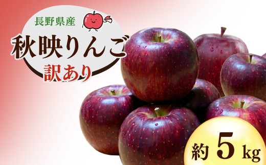 【2026年先行予約】千曲市産 秋映 りんご 約5kg 訳あり 家庭用 | 林檎 リンゴ アップル 果物 くだもの フルーツ 5キロ わけあり 訳アリ お取り寄せ 産地直送 長野県産 信州林檎 信州りんご 信州 長野 千曲市