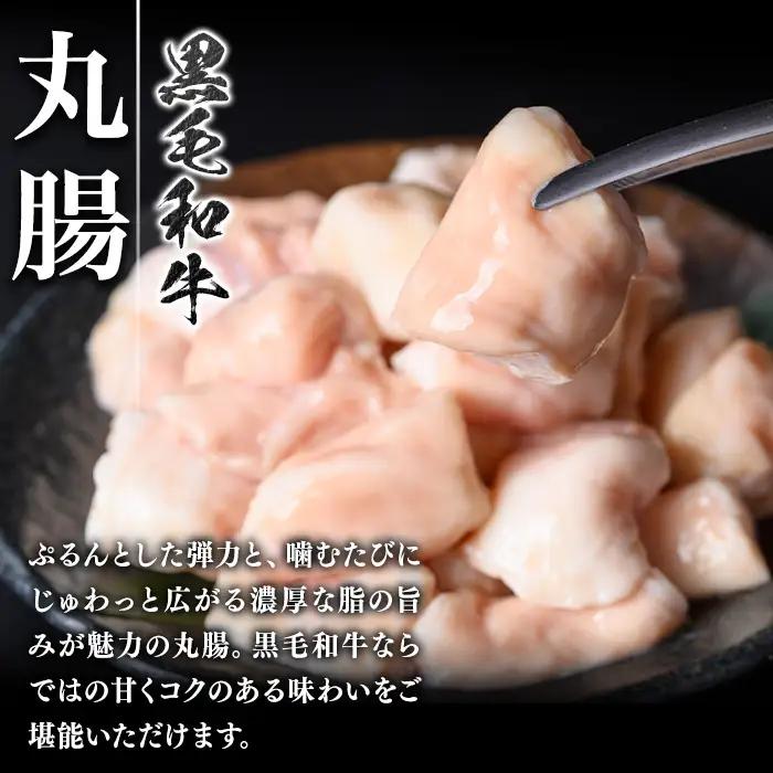 黒毛和牛 ホルモン 牛ホルモン 丸腸 計約1kg 約500g×2P もつ鍋 鹿児島県産 国産 真空パック 焼肉【新村畜産】A01037