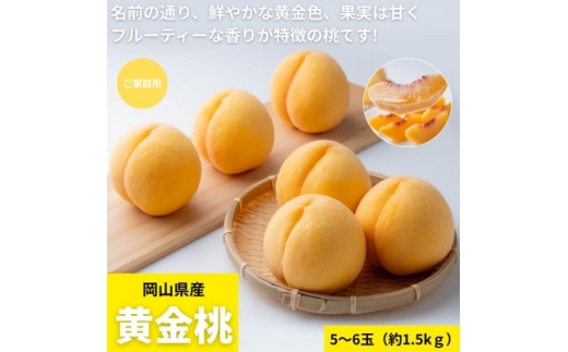 【2027年発送】ご家庭用　岡山県産黄金桃　約1.5kg(5～6玉)【1614333】