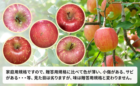 【農家直送・数量限定】 11～12月発送 家庭用 サンふじ 約10kg 【訳あり】 