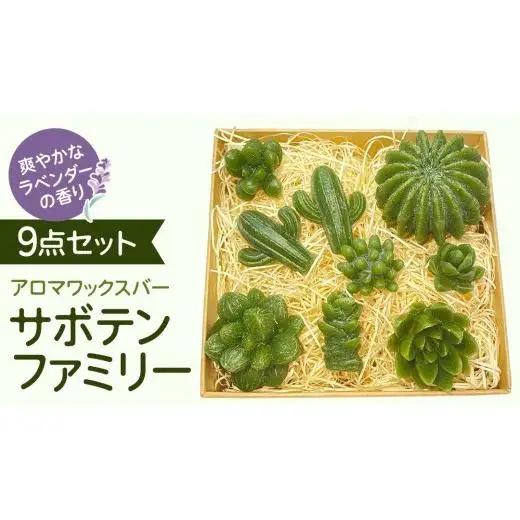 アロマワックスバー サボテンファミリー 9点セット ( ラベンダー / 緑色 )