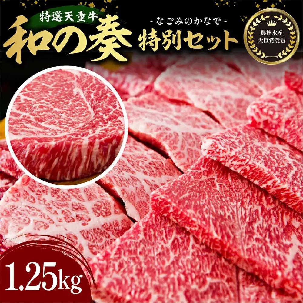 農林水産大臣賞受賞 特選 天童牛 和の奏 特別 セット 焼肉 ステーキ セット