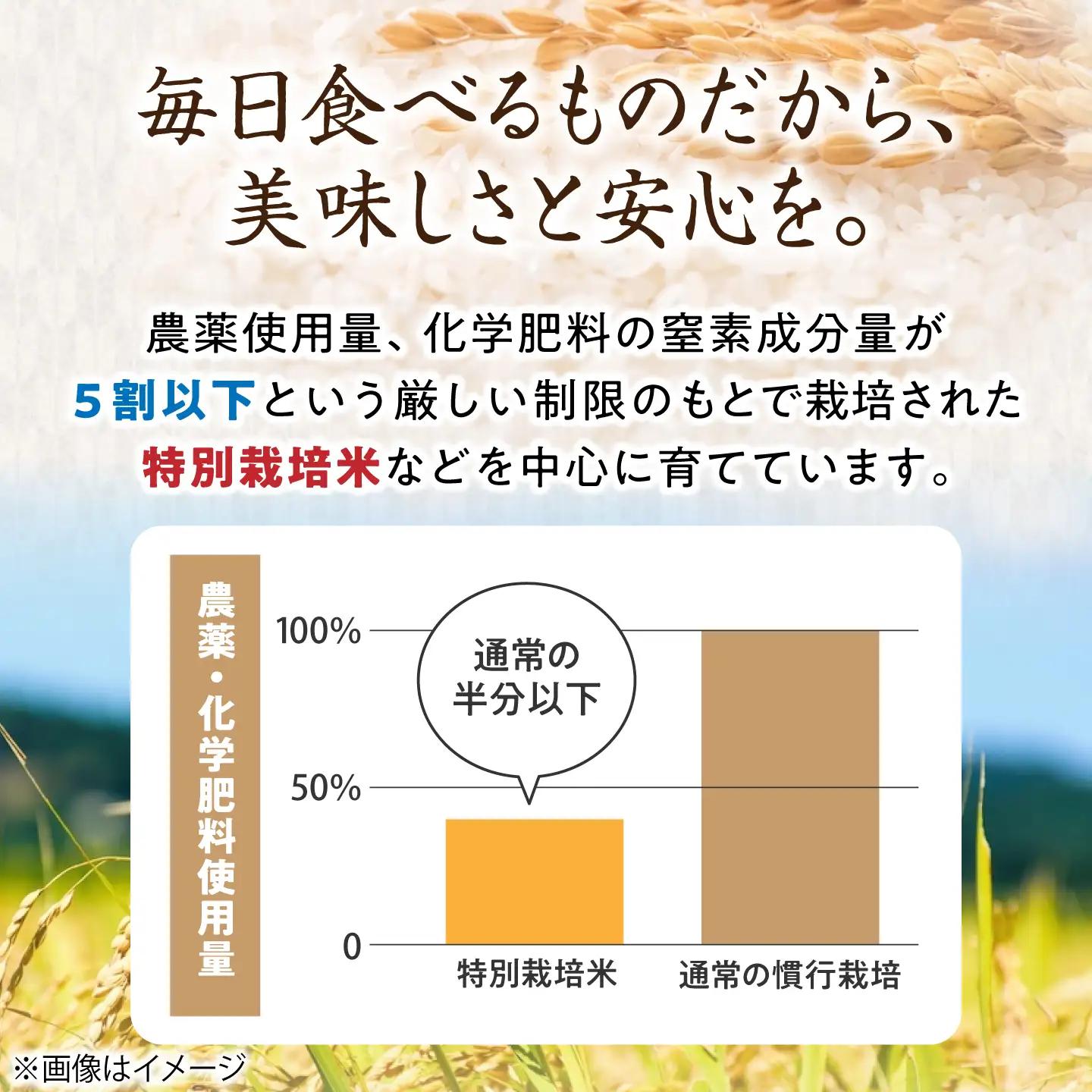 もち米【特別栽培米】羽二重糯（はぶたえもち）5kg×2[AQCQ011] もち米