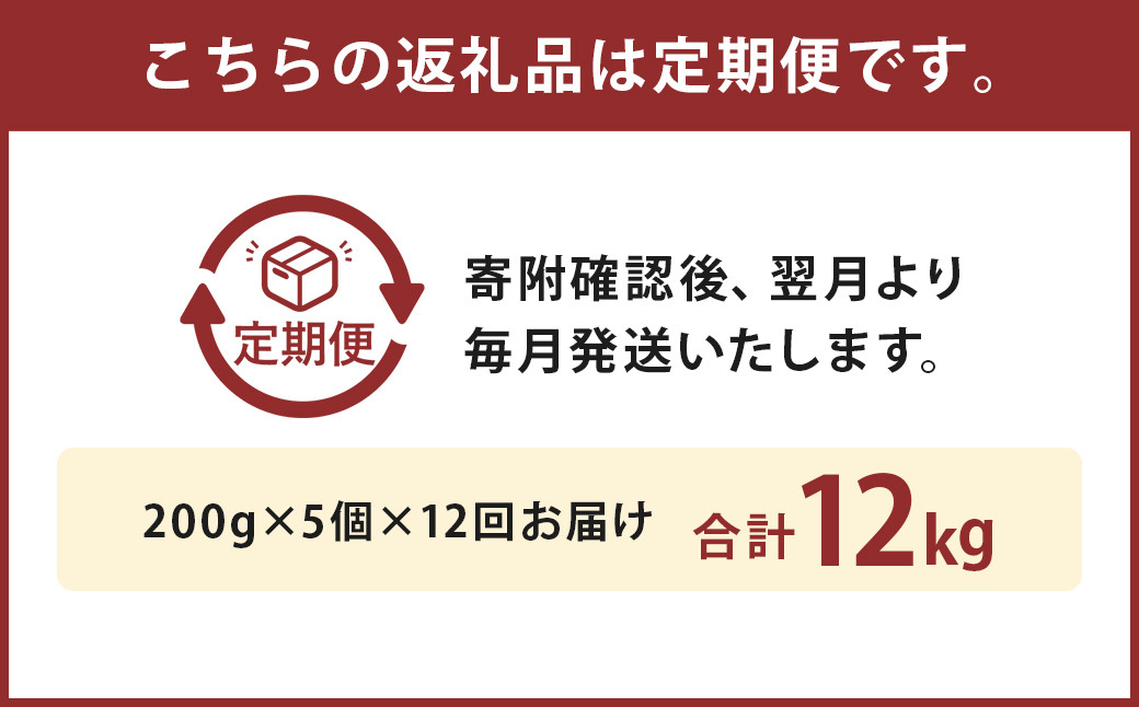 【12ヶ月定期便】黒樺牛ビーフカレー 200g×5パック