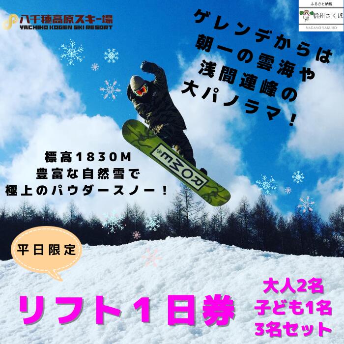 【ふるさと納税】八千穂高原スキー場　平日限定　リフト1日券　ファミリーBセット（大人2名・子ども1名　計3名）[AD-103]