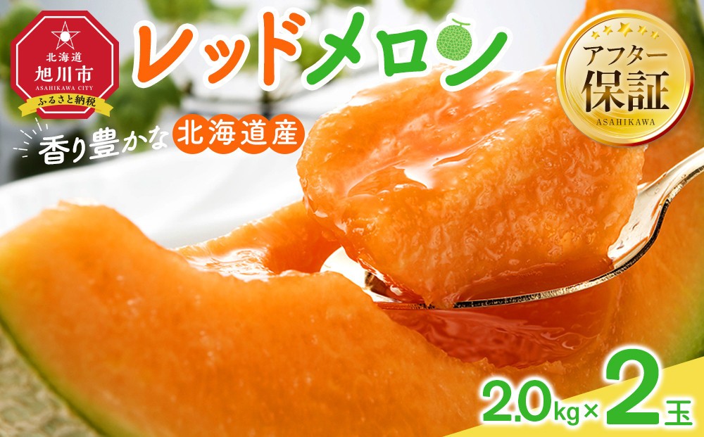 
            【26年発送先行予約】香り豊かな 北海道レッドメロン 2.0kg×2玉(2026年7月下旬から発送開始予定) 【 果物 くだもの フルーツ メロン 赤肉 赤肉メロン 旬 お取り寄せ 甘い 北海道産 旭川市 北海道 】_04541
          