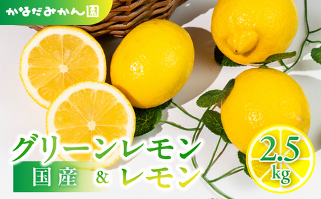 旬のレモン 2.5kg レモン グリーンレモン 檸檬 緑 グリーン レモン 柑橘 柑橘類 フルーツ 果物 旬 レモネード レモン ケーキ レモンティー に 愛知県 田原市 渥美半島