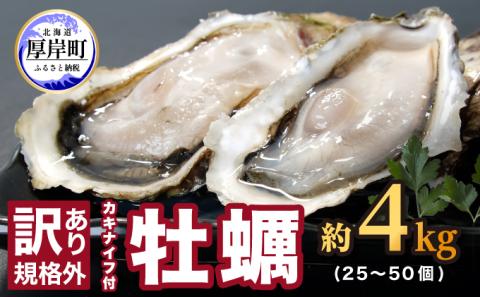 訳あり 規格外 牡蠣 北海道厚岸産 殻付カキ 約4kg (25～50個) カキナイフ付 生食