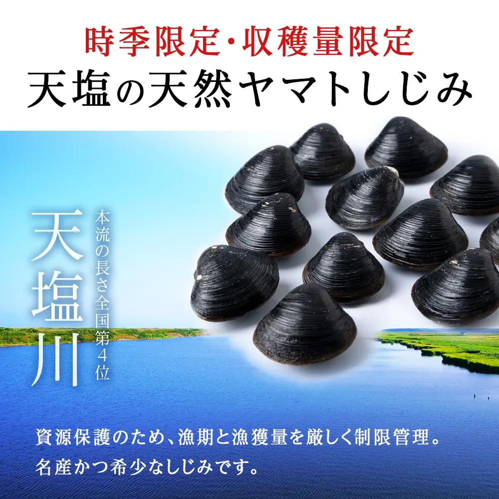 天塩町名産冷凍しじみ［特大サイズ］（700g）2パック入り＜北るもい漁業協同組合 天塩支所＞
