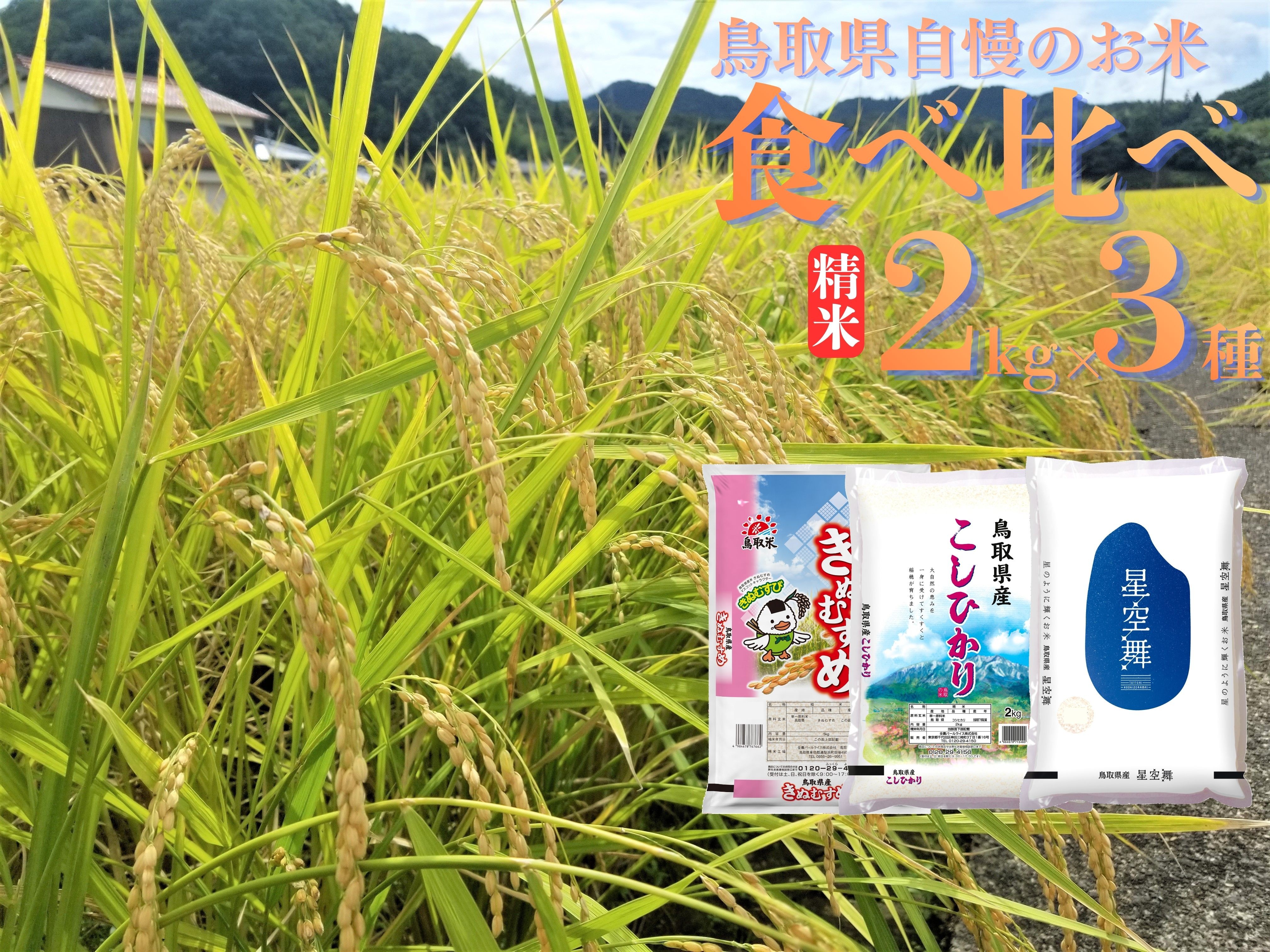 
                  48M.鳥取県産米食べ比べセット◇精米2kg×3種◇令和7年産
                