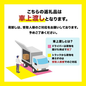 X-TJ R007 リカンベントバイク ｜トレーニング フィットネス 器具 筋トレ スポーツ 運動 ダイエット ※北海道・沖縄・離島への配送不可
