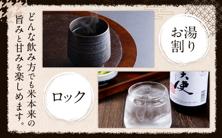 球磨焼酎 堕天使 25度 900ml 6本 焼酎 米焼酎