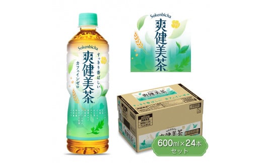 爽健美茶600ml×24本セット 【 ペットボトル  健康 ノンカフェイン 】