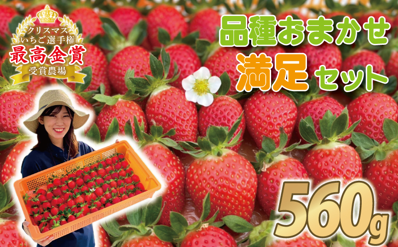 【 いちご 】 食べ比べ 560g 苺 イチゴ ストロベリー 産地直送 ご当地 果物 くだもの フルーツ デザート 朝どれ 完熟 食品 冷蔵 げんき農場 埼玉県 羽生市