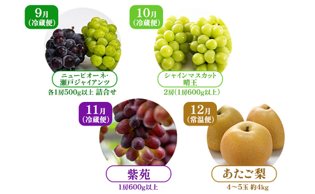 フルーツ定期便 岡山 ぶどう・梨 秋冬物語 岡山県産 フルーツ定期便【4回コース】【先行予約】