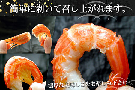 【北海道根室産】北海シマエビ800g(80～130尾) A-56014