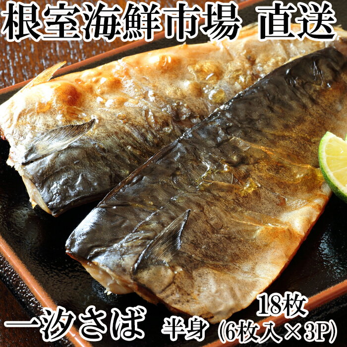 【ふるさと納税】 一汐さば半身 6 枚 × 3P 鯖 サバ 魚 さかな サカナ お取り寄せ グルメ 海鮮 半身 焼き魚 北海道 根室市 ふるさと納税 A-11095