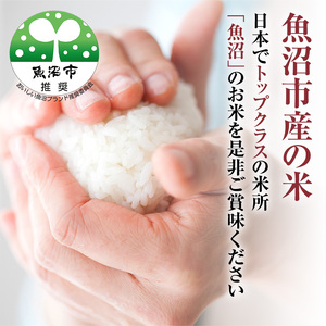 令和7年産 米農家自慢の 魚沼産 コシヒカリ（精米）10kg（5kg×2袋） お米 