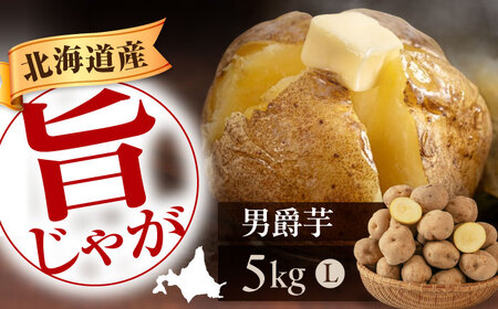 【ふるなびWEEK対象】じゃがいも 男爵芋 5kg じゃがいも FN-Limited-PR [AJAK027]