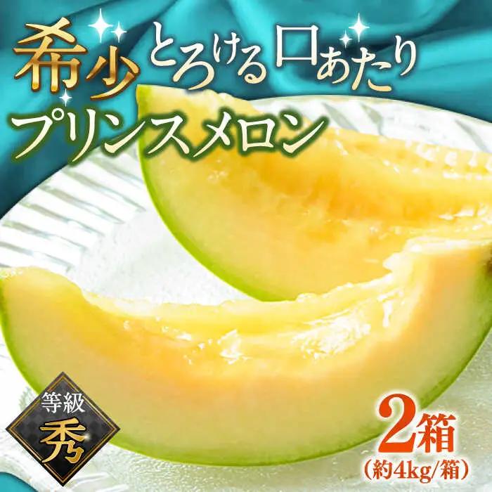 【2027年4月下旬-発送】【根強い人気！】 プリンスメロン 2箱 セット（1箱 7?13玉）  / メロン 南島原市 / 南島原果物屋 [SCV008]