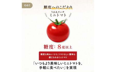 ＜特別栽培農産物＞ファームサイドのこだわりミニトマト 800g 野菜 特別栽培 農産物 サラダ ピクルス 炒め物 食品 本庄産 関東 F5K-508