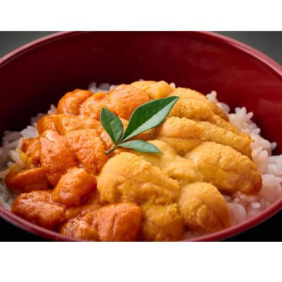 ふるさと納税 登別市 登別近海産 蝦夷ばふんうに&amp;きたむらさきうに 2種食べ比べセット 冷凍パック(100g×2P)