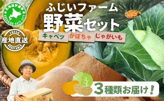 キャベツ2玉 かぼちゃ(訳あり)2玉 じゃがいも800g セット 【hjf-001】