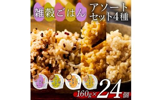 雑穀ごはん アソートセット 4種 160g 24個 十六雑穀 発芽玄米 玄米 もち麦 パックごはん パックご飯 ごはんパック ご飯パック パックライス パック 16雑穀 雑穀 米 ごはん ご飯 こめ 