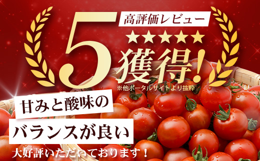 田淵さんちの美味しいミニトマト 小鈴約2kg（1.0kg×2箱） GP-709| 野菜 トマト ミニトマト 産地直送 ミニトマト 新鮮 トマト 南大隅町産 ミニトマト おいしい ミニトマト