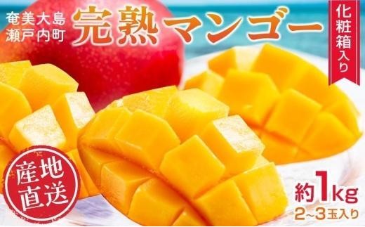 
                  【2026年 先行予約】奄美完熟マンゴー 化粧箱 約1kg(2～3玉入り) 農家直送！ 【完熟マンゴー 化粧箱 果物 マンゴー くだもの 食品 農家直送 フルーツ 飲料 果汁飲料 ドリンク 季節限定 先行予約 贈り物 ギフト 鹿児島県 奄美大島 瀬戸内町 AM001】
                