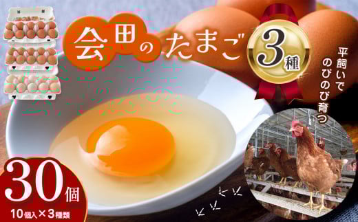 会田のたまごセット（10個入り×3パック） ｜ ふるさと納税 信州 鶏 卵 たまご 温泉卵 長野県 松本市 美味しい