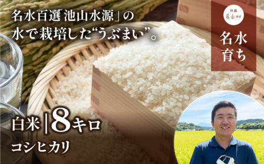 【令和６年産新米】うぶまい(コシヒカリ白米)8kg〈阿蘇の名水　池山水源米〉