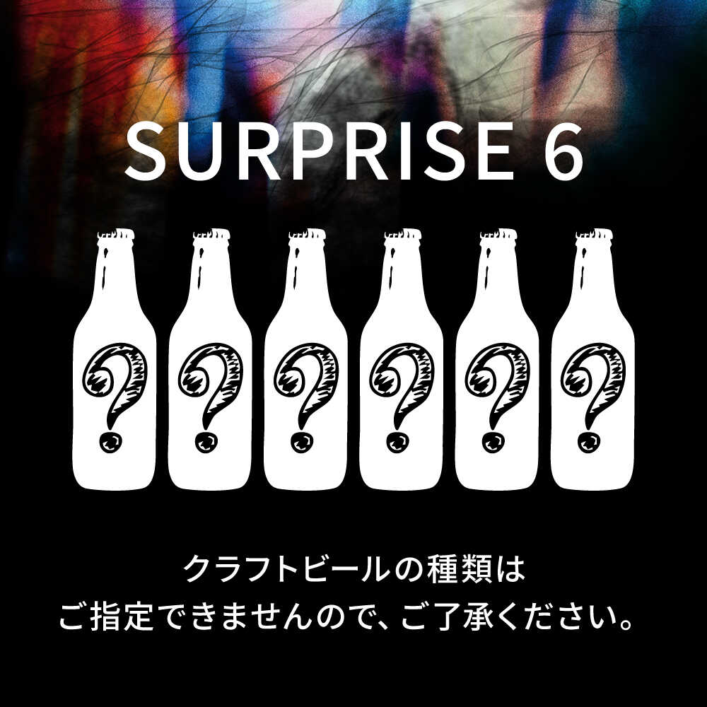 【ふるさと納税】クラフトビール おまかせ6本（3種×2本）セット SURPRISE 6 ビール お酒 さけ 瓶 瓶ビール びーる 麦酒 宅飲み 晩酌 クラフトビール 横須賀【GRANDLINE BREWING】[AKGM004]