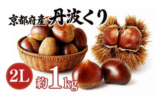 2026年度産 丹波くり 約1kg 2Lサイズ