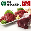 【ふるさと納税】【定期便】【1ヶ月毎6回】国産 赤身上馬刺し 200g×1パック 計1.2kg（200g×6回） 馬肉 馬刺し 赤身 ウマ お肉 モモ肉 馬刺 専用のたれ付き おろし生姜 お酒のお供 おつまみ 真空パック 冷蔵 九州 熊本県 合志市 送料無料