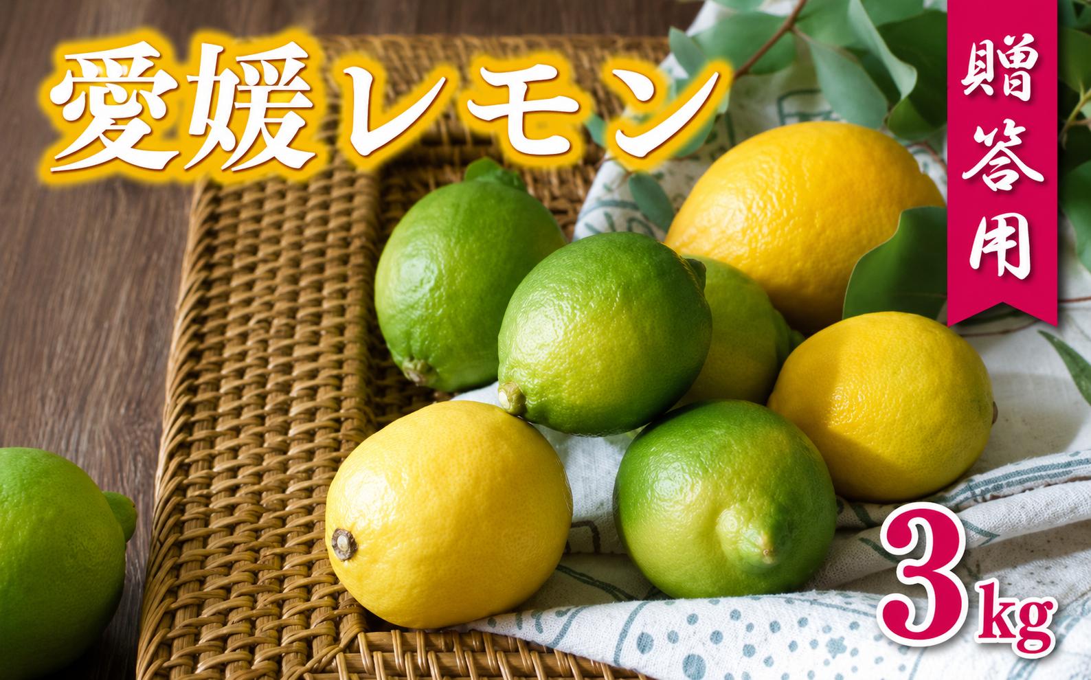 
                  【先行予約】 贈答用 愛媛 レモン 3kg 7000円 フレッシュレモン 柑橘 檸檬 国産 れもん フルーツ 果物 果実 産地直送 農家直送 数量限定  特産品 瀬戸内 ワックス 防腐剤 不使用 果汁 人気 新鮮 レモネード 塩レモン  レモンソース はちみつレモン レモンケーキ レモンスカッシュ レモンサワー レモン酎ハイ 等に ビタミン ギフト プレゼント  前田ファーム 愛南町 愛媛県
                