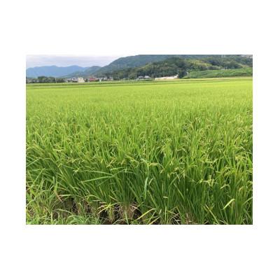 ふるさと納税 直方市 令和7年産 直方産夢つくし 精米(5kg×2袋) |  | 02