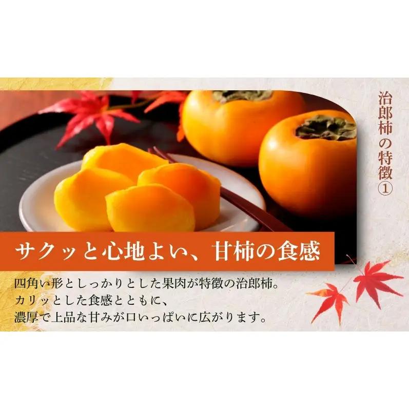 柿 遠州森の治郎柿 化粧箱 大 9～12個 ギフト 柿