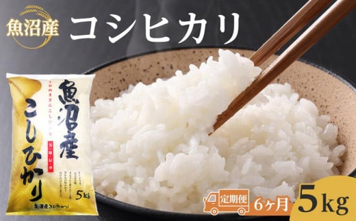 【6ヶ月定期便】令和７年産魚沼コシヒカリ5kg　2025年10月～発送開始｜新潟県　魚沼　こしひかり　令和7年産