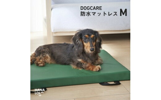 【ふるさと納税】 ペット用品 ドッグケア 床ずれ予防マットレス M 1個 [タキコウ縫製 愛知県 岡崎市 ok23bzx360164] 犬 床ずれ 予防 犬用 マット