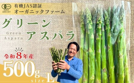 【先行予約】オーガニック グリーンアスパラガス  L 500g アスパラガス