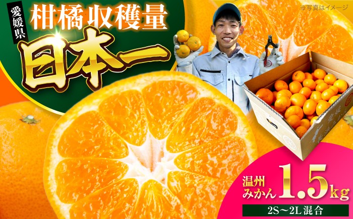 
                  みかん【10月中旬から順次発送】温州みかん 1.5kg （2Sから2L混合サイズ）酸味さわやか愛媛じるし！ 温州みかん 愛媛 みかん 果物 くだもの フルーツ 柑橘 愛媛県大洲市/玉川農園 [AGBC020]
                