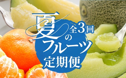JA愛知みなみ 夏のフルーツ定期便 3回 お届け タカミメロン アールスメロン 温室みかん メロン ミカン 蜜柑 みかん 定期便 旬 夏 フルーツ 果物 くだもの 甘い スイーツ おやつ 渥美半島 田原市 愛知県 3ヶ月 3か月 三カ月 定期 青肉 フルーツ定期便