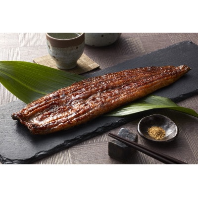 うなぎ蒲焼き2尾入り 約480g(蒲焼たれ4袋 山椒付き)【配送不可地域：離島】