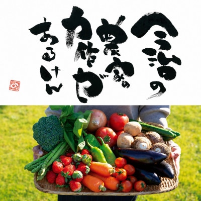 しまなみ彩野菜セット(今治産野菜の詰合せ)【VB00100】【配送不可地域：離島】