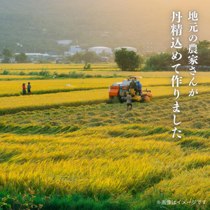 愛媛県産にこまる10kg